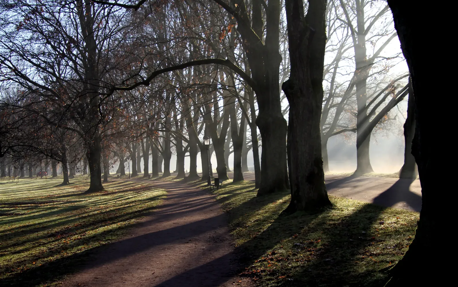 Lichtentaler Allee